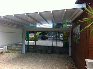 IMG_4894 IMG_4894